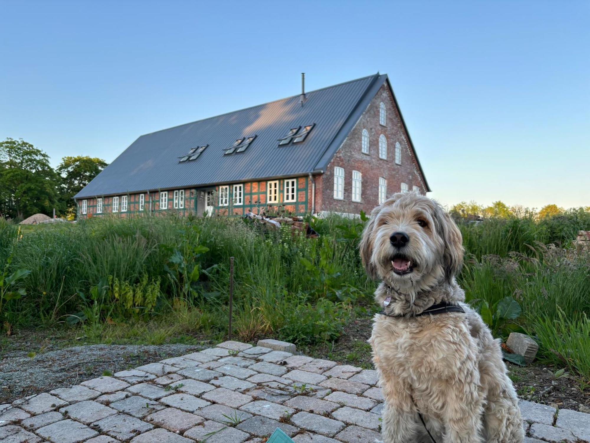 Niedersaechsisches Hallenhaus Im Modernen Gewand Lilienthal  Esterno foto